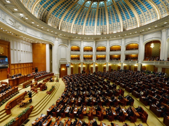 Parlamentul a votat numirea Irinei Radu la șefia SRTv