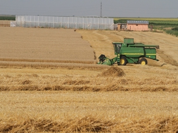 Aproape 60% dintre agricultorii români au peste 60 de ani