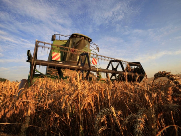 Statele UE au ajuns la un acord asupra reformei Politicii Agricole Comune