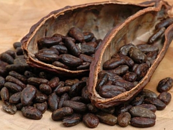 Prețul boabelor de cacao, la cel mai ridicat nivel din 2011, în urma majorării cererii în Asia
