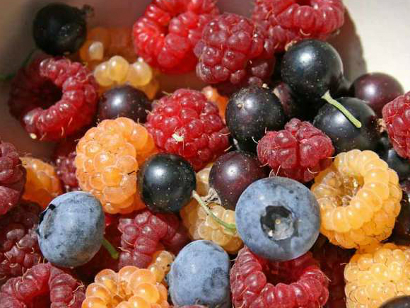 Fructe cu virusul hepatic A din România, Polonia şi Bulgaria, retrase de piaţa italiană