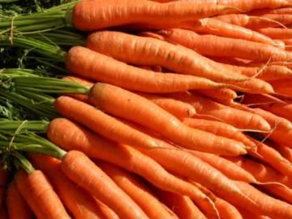 De ce sunt importanți morcovii în alimentație și ce beneficii aduc