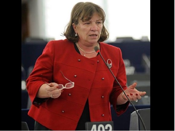 Norica Nicolai: Deputații europeni sunt apărători ai cetățenilor, nu reprezentanți ai Guvernelor