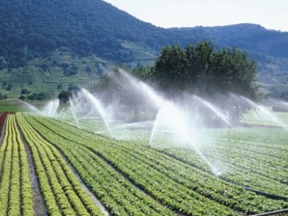 Decizie a Guvernului: Apa pentru irigații, mai aproape de fermieri
